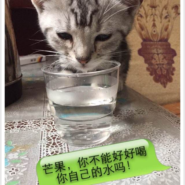 高中毕业证毕字第号码七位